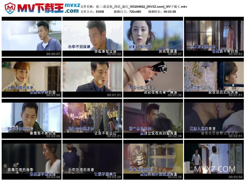 虎二-思念你_国语_流行_MD204922